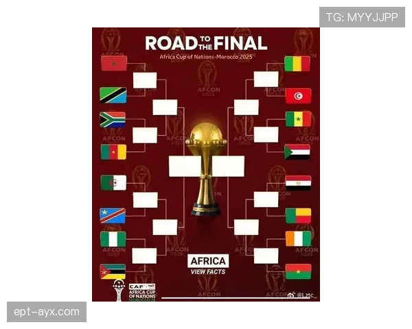 非洲足球强队崛起：FIFA最新排名揭示竞争力显著提升，实力格局日益清晰