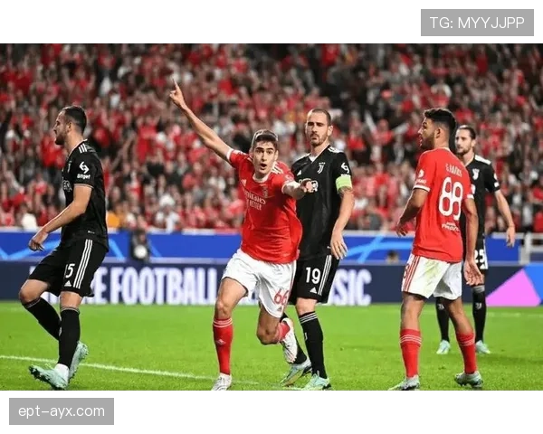 本菲卡状态火热,连胜强敌强势重返葡超巅峰